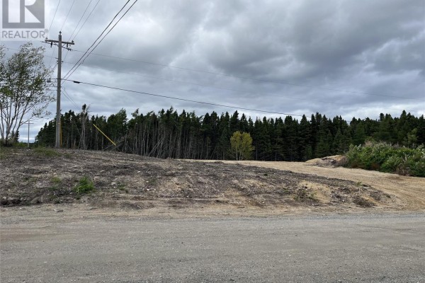 10 Northside Road, Eastport, NL A0G1Z0 Photo 3
