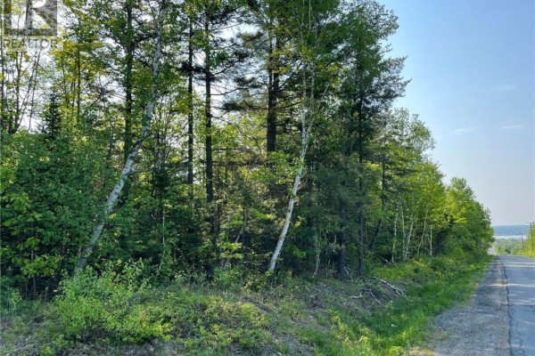 10.2 Acres Hansen Road, Miramichi, NB E1V3M2 Photo 4