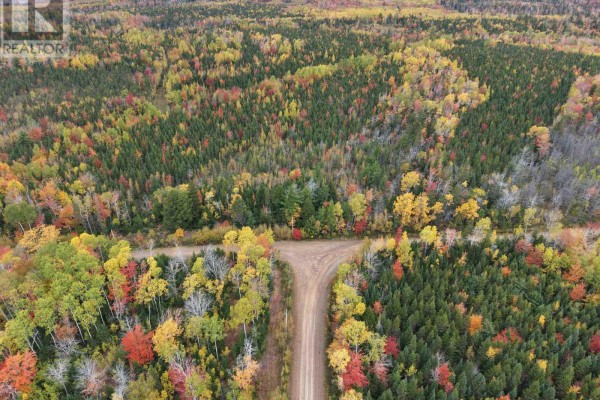 100 Acres Mitchell Swan Road, Millbrook, NS B0K1V0 Photo 2