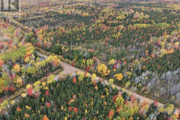 100 Acres Mitchell Swan Road, Millbrook, NS B0K1V0 Photo 3