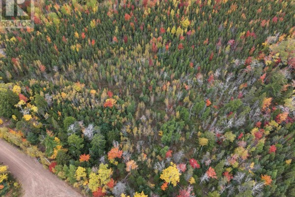 100 Acres Mitchell Swan Road, Millbrook, NS B0K1V0 Photo 4