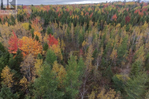 100 Acres Mitchell Swan Road, Millbrook, NS B0K1V0 Photo 5