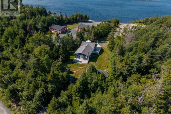Kitchen - 100 Cape Pond Road, Tors Cove, NL A0A4A0 Photo 5