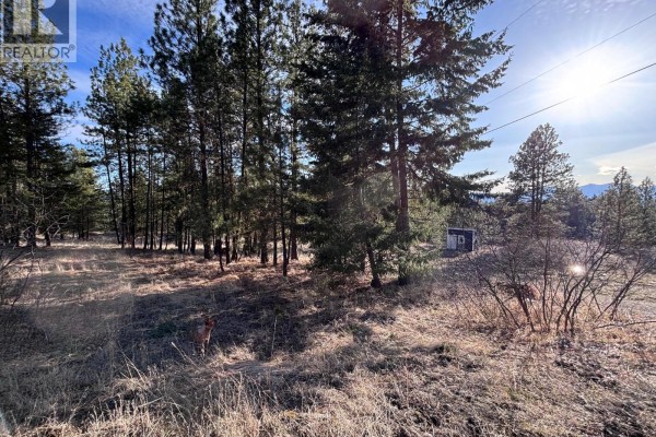 100 Cougar Court, Osoyoos, BC, photo 3