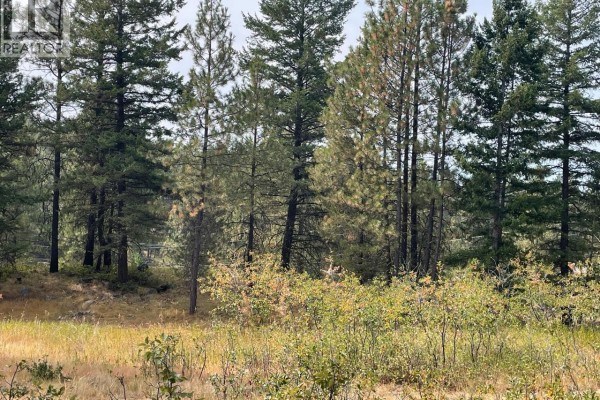 100 Cougar Court, Osoyoos, BC V0H1V6 Photo 5