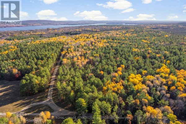 100 Nangor Trail, Whitewater Region, ON K0J2L0 Photo 2