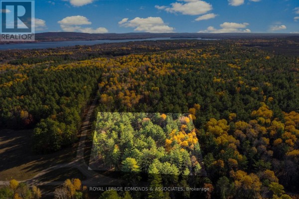 100 Nangor Trail, Whitewater Region, ON K0J2L0 Photo 3
