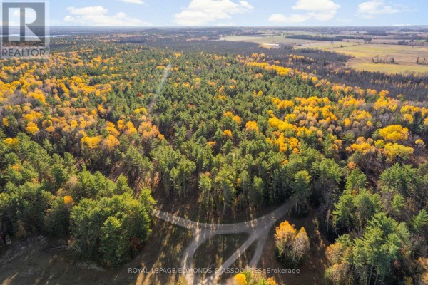 100 Nangor Trail, Whitewater Region, ON K0J2L0 Photo 5