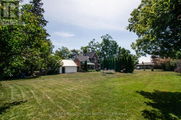 100 Nappadale Street, Kawartha Lakes, ON K0M2T0 Photo 4