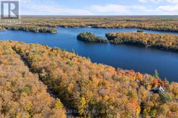 100 Russell Drive, Trent Lakes, ON K0M2A0 Photo 2