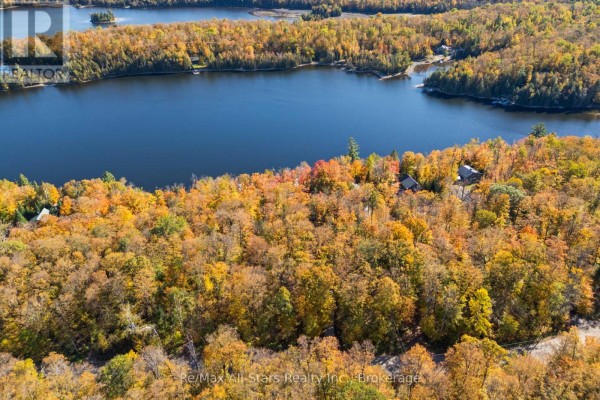 100 Russell Drive, Trent Lakes, ON K0M2A0 Photo 4