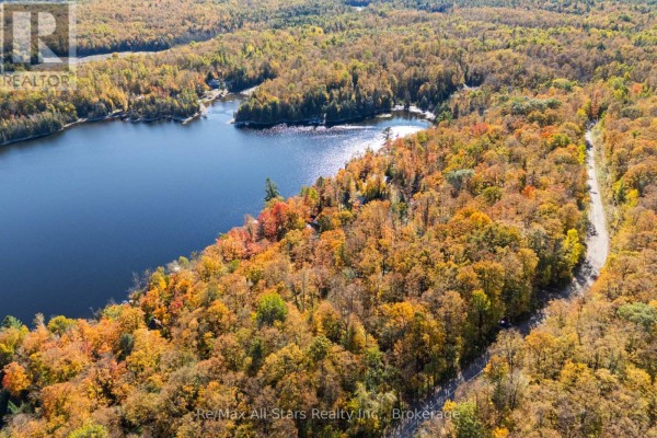 100 Russell Drive, Trent Lakes, ON K0M2A0 Photo 5