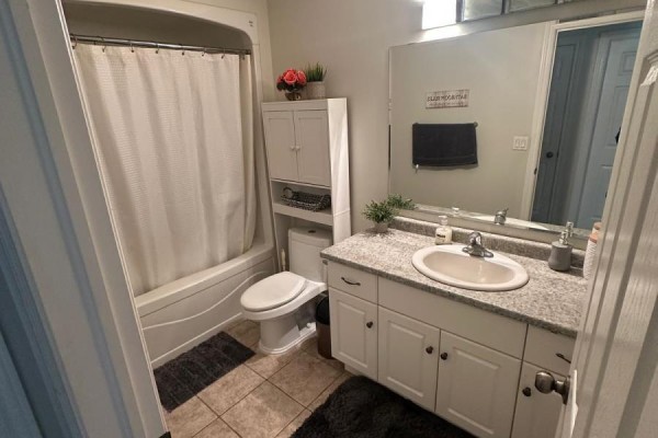 Bathroom vanity, toilet, and tub with shower curtain - 100 Southview Court Woodstock