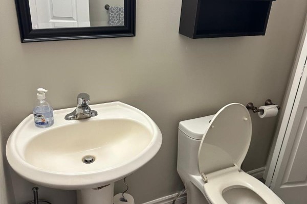 Pedestal sink, toilet, and black medicine cabinet - 100 Southview Court Woodstock