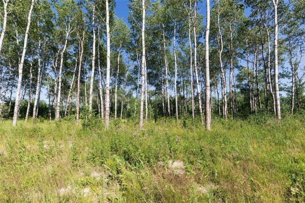 100 Spence Street, La Broquerie, MB R0A0W1 Photo 2