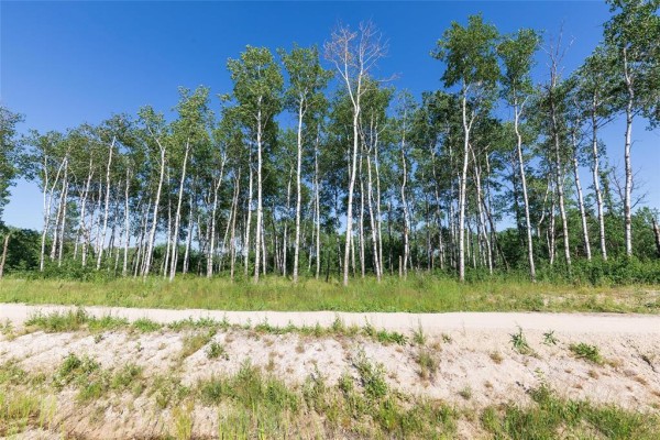 100 Spence Street, La Broquerie, MB R0A0W1 Photo 3