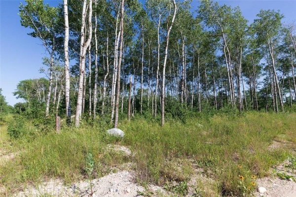 100 Spence Street, La Broquerie, MB R0A0W1 Photo 5