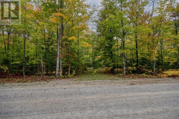 100 Steven, Gore Bay, ON P0P1H0 Photo 4