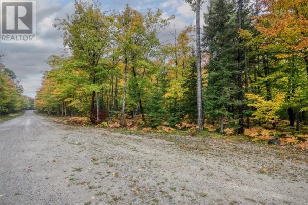 100 Steven, Gore Bay, ON P0P1H0 Photo 5