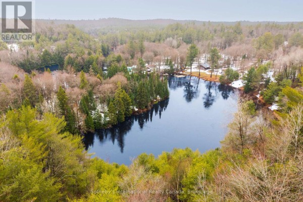 1000 Alpine Ranch Road, Bracebridge, ON P1L1W9 Photo 4
