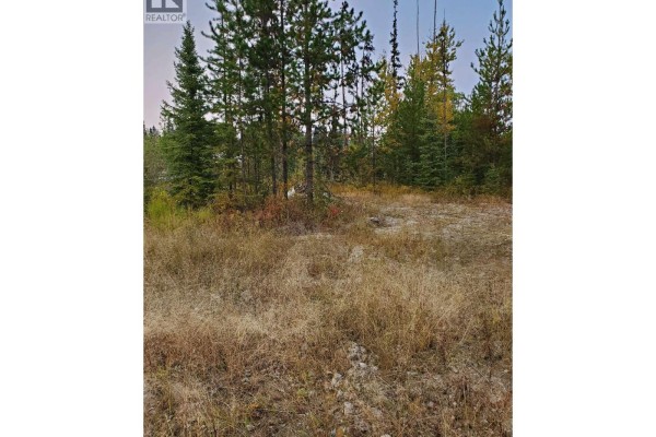 10000 W Hartman Road, Prince George, BC V2N6L6 Photo 4