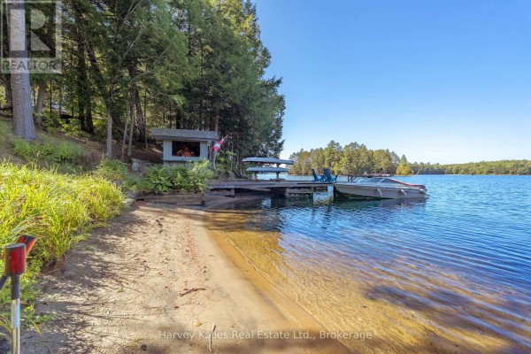 1003 Hollow Road, Algonquin Highlands, ON, photo 2