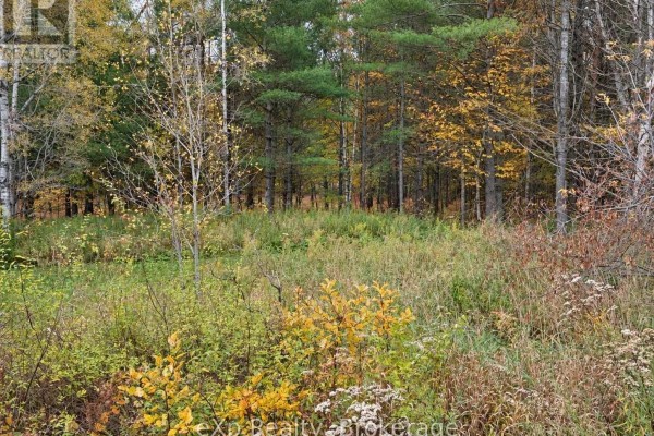 1003 Silver Lake Road, Gravenhurst), ON P1P0G3 Photo 2