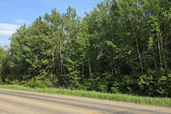 10035 Hwy 13, Rural Wetaskiwin County, AB, photo 3