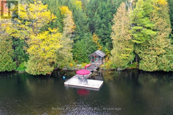 Aerial view of a floating dock with a red umbrella and a small boathouse on the shore of a lake. - 1005 Mcarthur Point Road, Lake Of Bays
