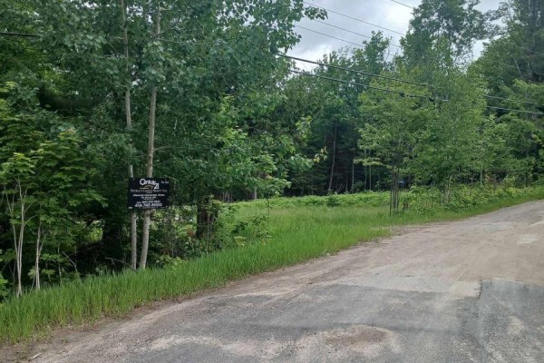 1005 Porkys Road, Minden Hills, ON K0M2K0 Photo 2