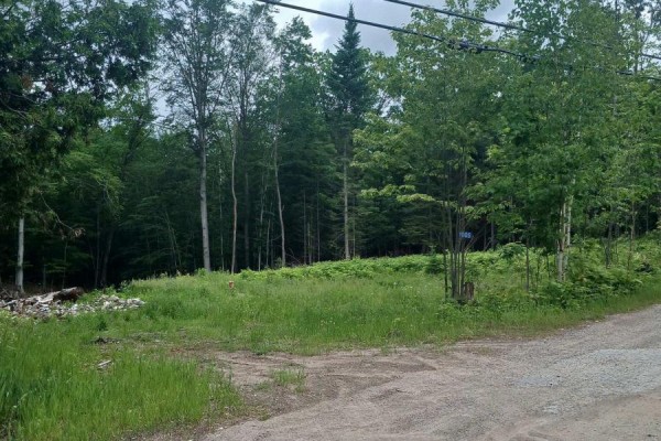 1005 Porkys Road, Minden Hills, ON K0M2K0 Photo 3
