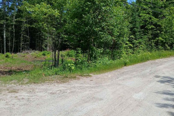 1005 Porkys Road, Minden Hills, ON K0M2K0 Photo 4