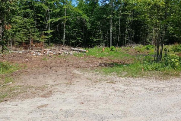 1005 Porkys Road, Minden Hills, ON K0M2K0 Photo 5