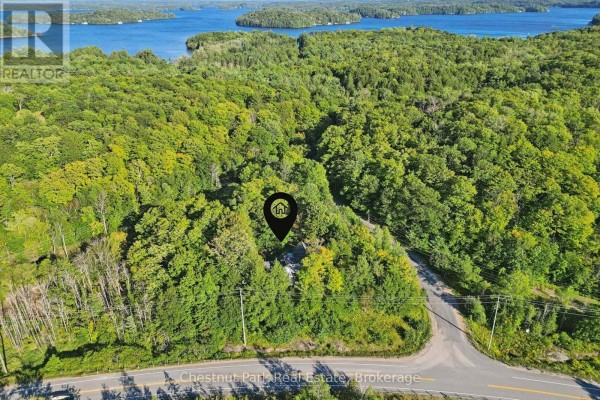 1005 Woodington Road, Muskoka Lakes, ON P0B1J0 Photo 2