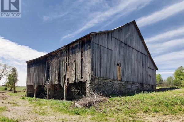10054 Highway 9, Adjala Tosorontio, ON, photo 3