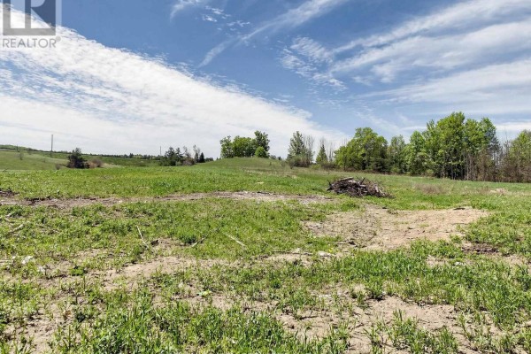 10054 Highway 9, Adjala Tosorontio, ON L0G1L0 Photo 5
