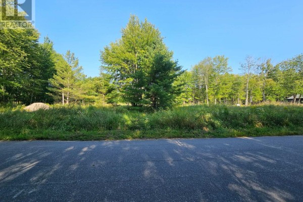 Overgrown green grass and trees in a lot with a paved road on the right. - 1006 Bowyers Beach Road, Bracebridge)