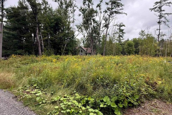 1006 Chippawa Avenue, Gravenhurst), ON P1P1R1 Photo 2