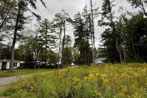 1006 Chippawa Avenue, Gravenhurst), ON P1P1R1 Photo 3
