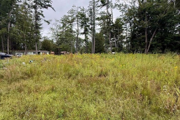 1006 Chippawa Avenue, Gravenhurst), ON P1P1R1 Photo 4