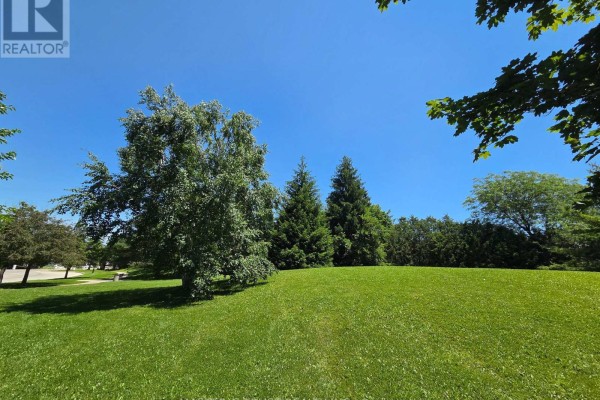 A large green lawn with trees and a bright blue sky on a sunny day. - 1007 - 2627 Mccowan Road, Toronto