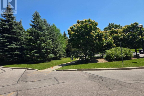 A paved area with parking lines next to a grassy area with mature trees. - 1007 - 2627 Mccowan Road, Toronto