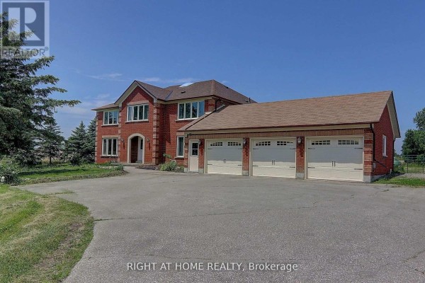 Recreational, Games room - 1008 Mount Albert Road, East Gwillimbury, ON L0G1V0 Photo 3