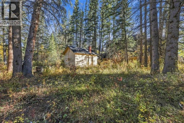 1009 10 Street, Canmore, AB T1W2A1 Photo 3