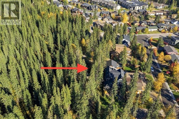 1009 10 Street, Canmore, AB T1W2A1 Photo 4