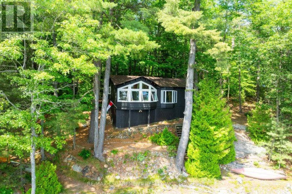 Sunroom - 1009 Fogo Street, Muskoka Lakes, ON P0C1H0 Photo 3