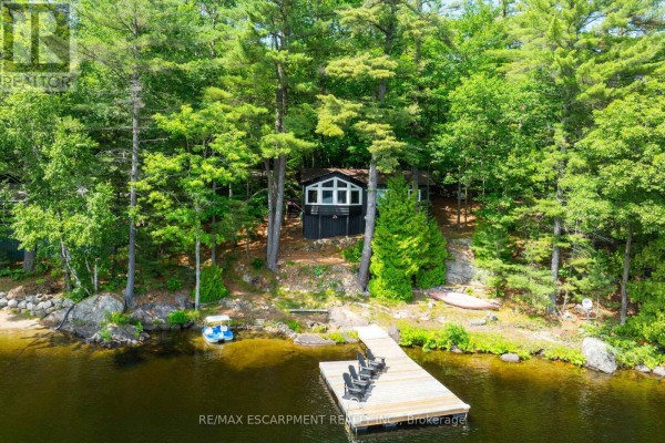 Living room - 1009 Fogo Street, Muskoka Lakes, ON P0C1H0 Photo 5