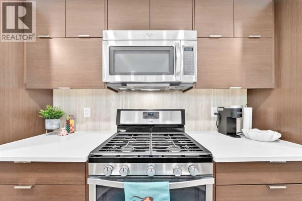 Other - 101, 1719 9a Street Sw, Calgary, AB T2T3E9 Photo 5