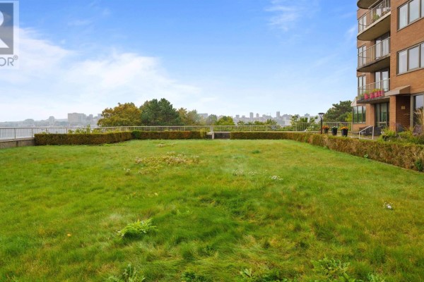 Rooftop green space with a distant city skyline and water view. - 101 1 Prince Street, Dartmouth