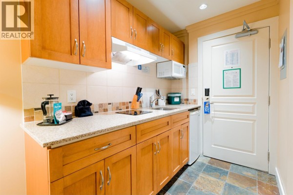 101 1490 Highway 99, Pemberton, BC V0N2L1 Photo 4